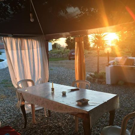 Tertenìa Casa Vacanza מראה חיצוני תמונה