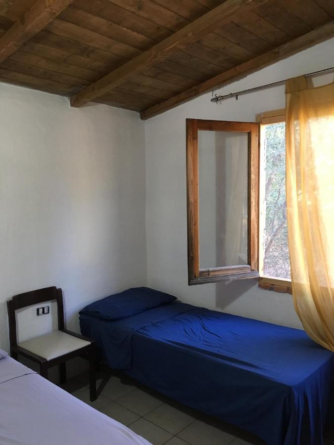 Tertenìa Casa Vacanza מראה חיצוני תמונה